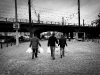 mg_1860
