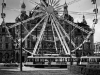 _MG_7796
