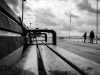 _MG_7859