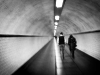 _MG_7930
